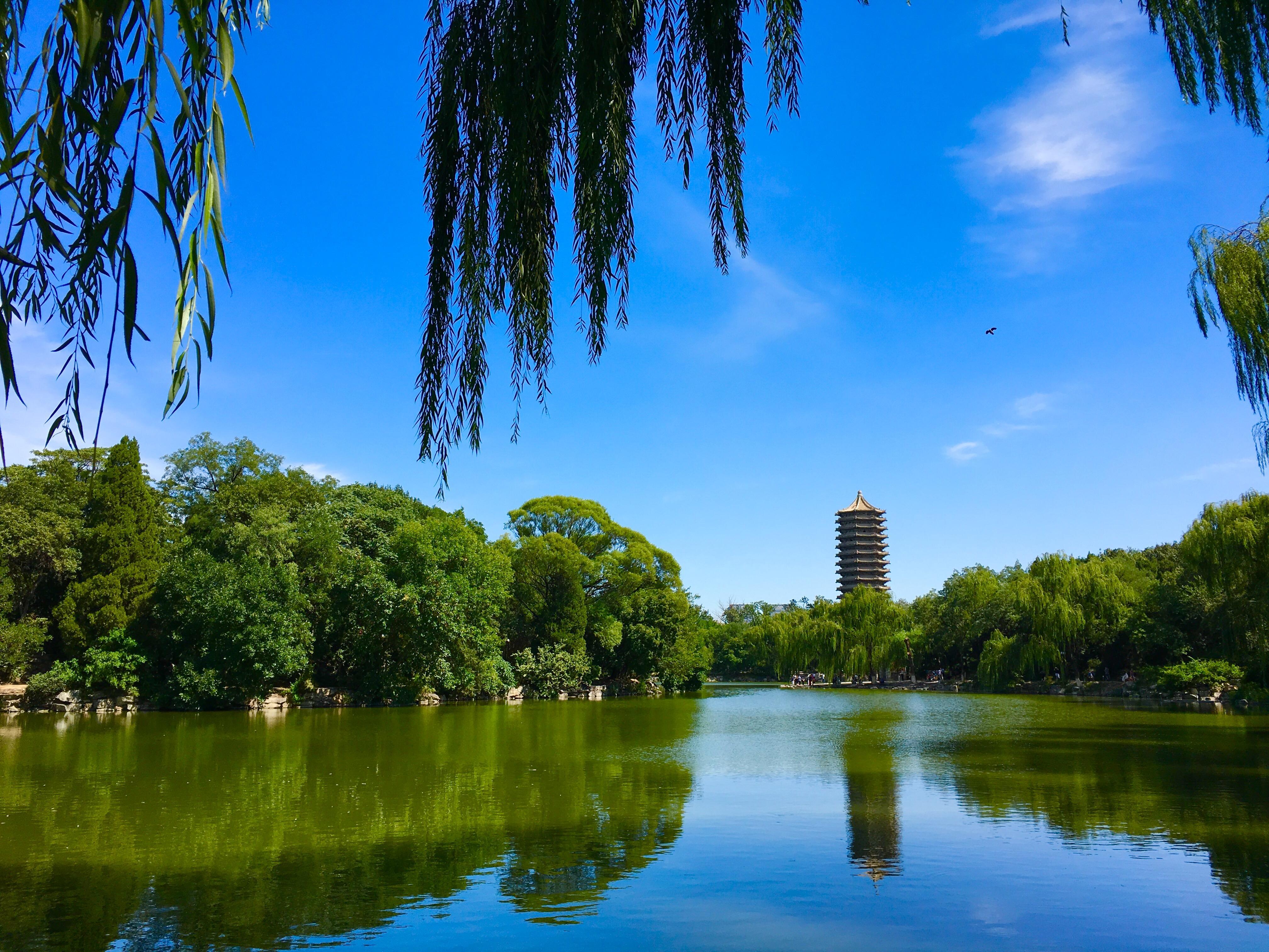 北京大学风景之美,在于其中的燕园,燕园曾经是皇家园林.