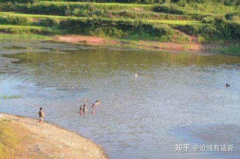 那年那月农村孩子三伏天里欢乐多