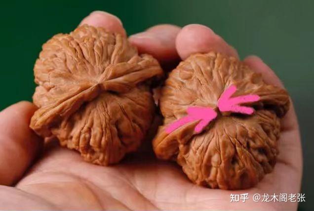 新手如何三分钟快速分辨文玩核桃种类- 知乎
