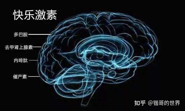 上瘾80秒