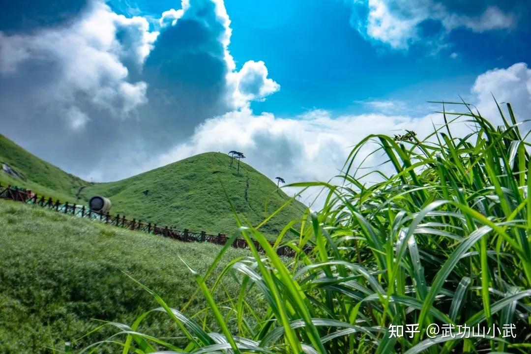 夏季去武功山欣赏风景的游玩攻略是什么 (夏季去武功山用带冲锋衣吗)