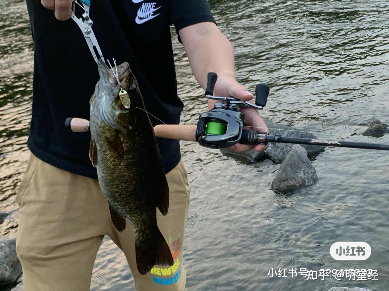 megabassp5destroyerhien飞燕