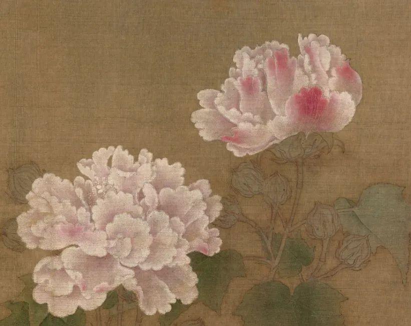 红白芙蓉图 画法图片