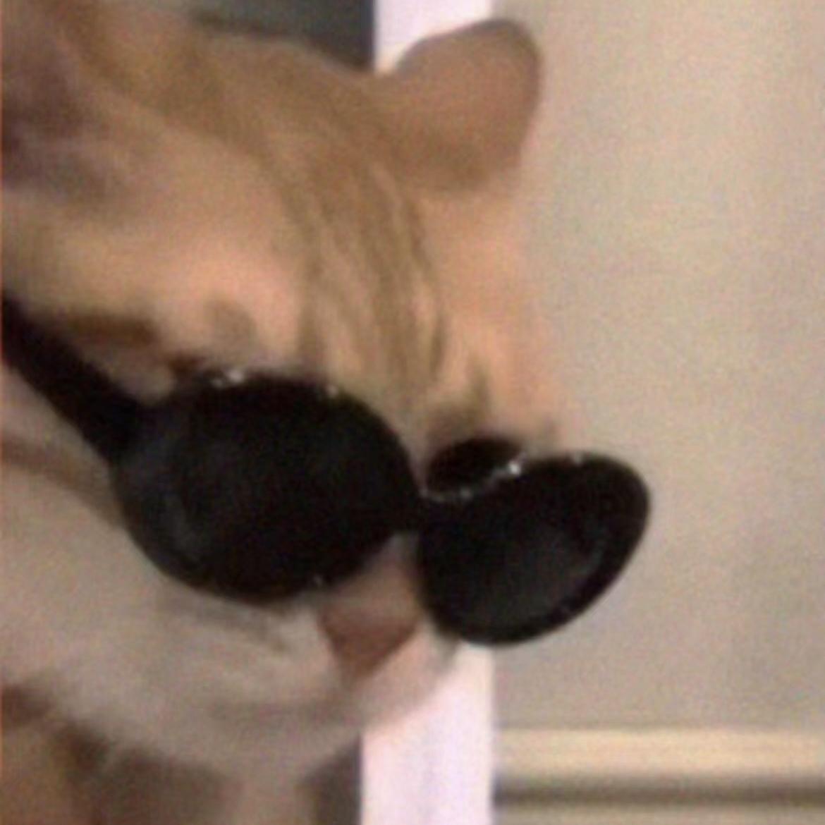 梦之