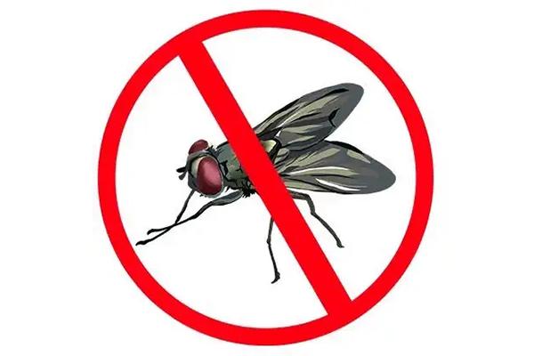 不仅可以杀死成蝇,也可以杀死蝇卵和幼虫,此外,捕蝇瓶,捕蝇笼,灭蝇灯