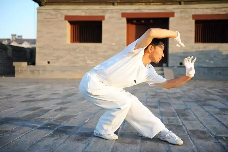 第二式豹形拳还之彼身谈判五形拳