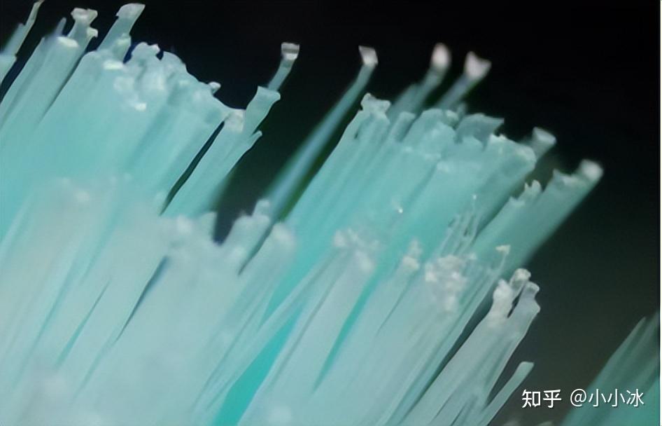 电动牙刷测评_电动助力车价格及图片_电动牙刷推荐