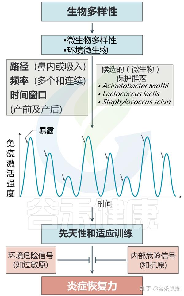 生命早期微生物接触和过敏风险 如何预防 知乎 生命早期微生物接触和过敏风险 如何预防 知乎