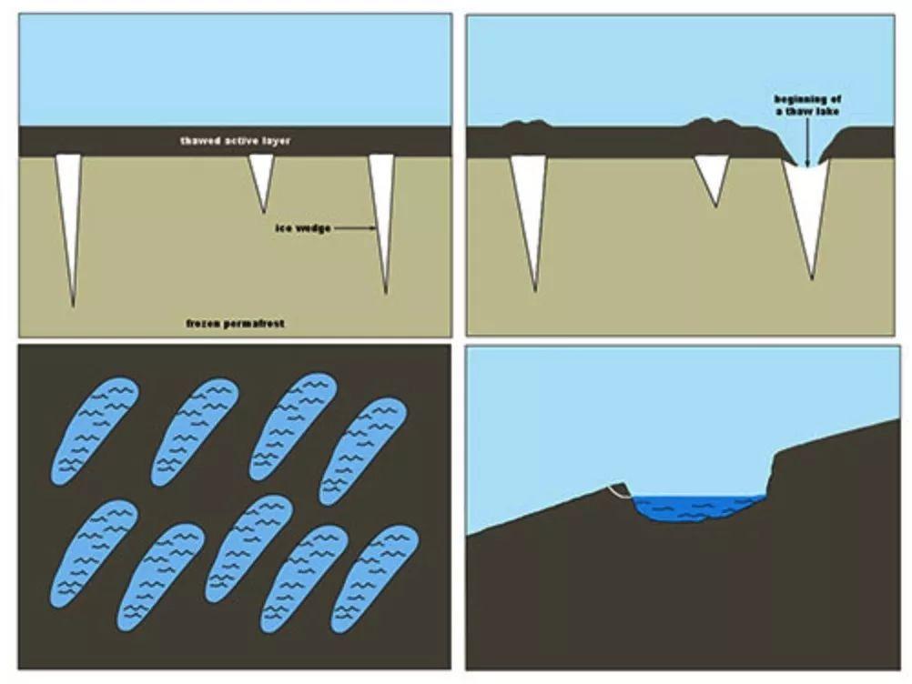 干货满满应对托福听力专业词汇小妙招