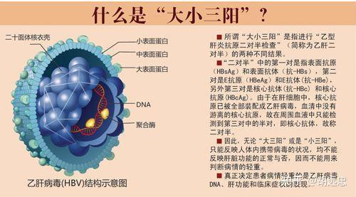 乙肝大三阳图图片