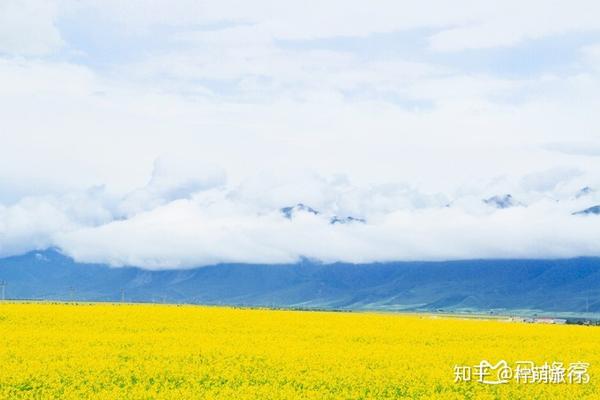 天气天气王2345预报_升钟湖天气1001升钟湖天气_青海湖天气预报