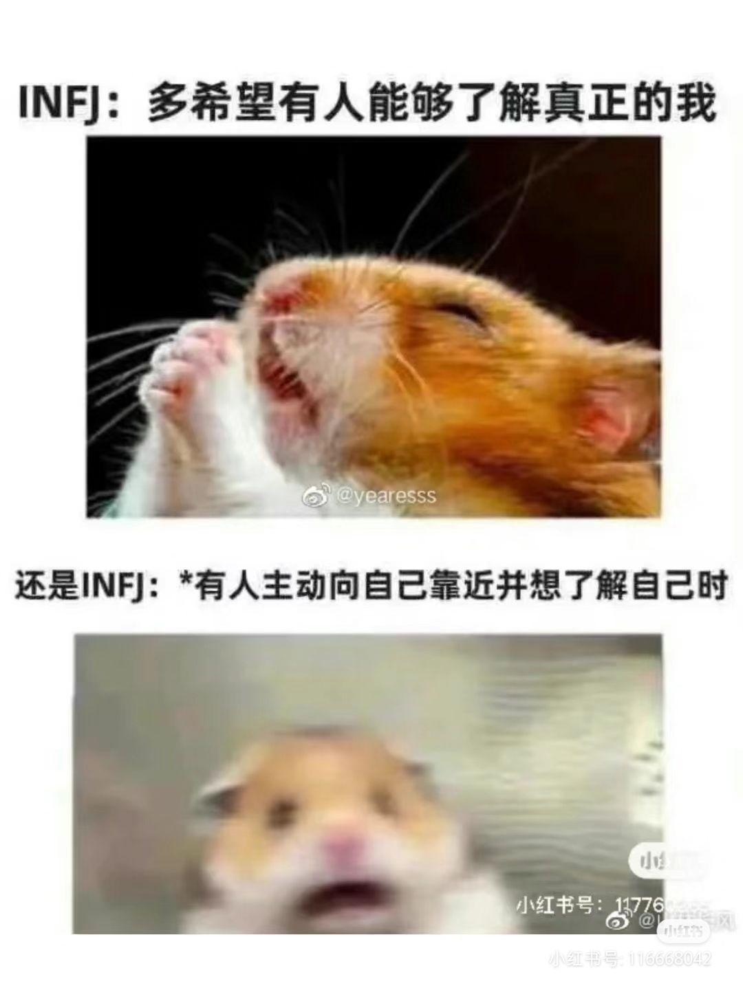 INFJ梗图一览 - 知乎