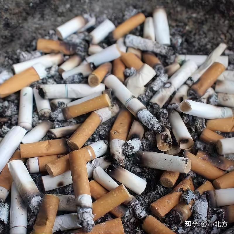 拒绝云测评!空气净化器除烟味哪款好?空气净化器可以消除烟味吗?除烟味专用空气净化器评测推荐2026:拾梧/美的/飞利浦热销除二手烟空气净化器数据大汇总!一篇教你避开99%智商税!