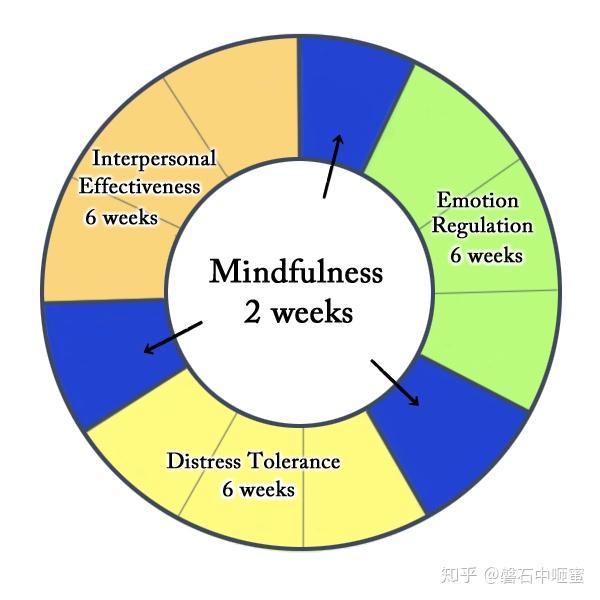 Dialectical Behavior Therapy Dbt