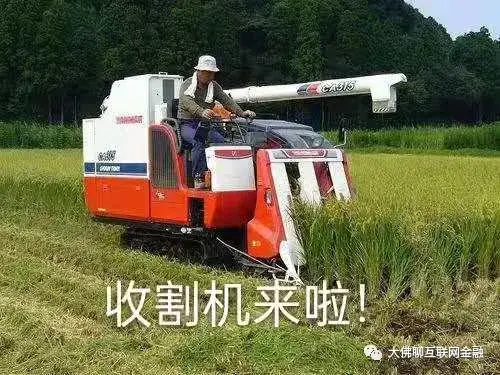 马斯克的韭菜收割之旅