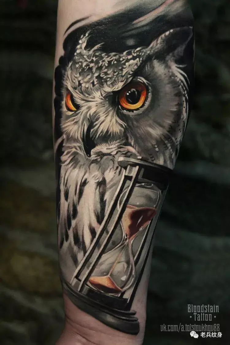 纹身素材——写实风格猫头鹰