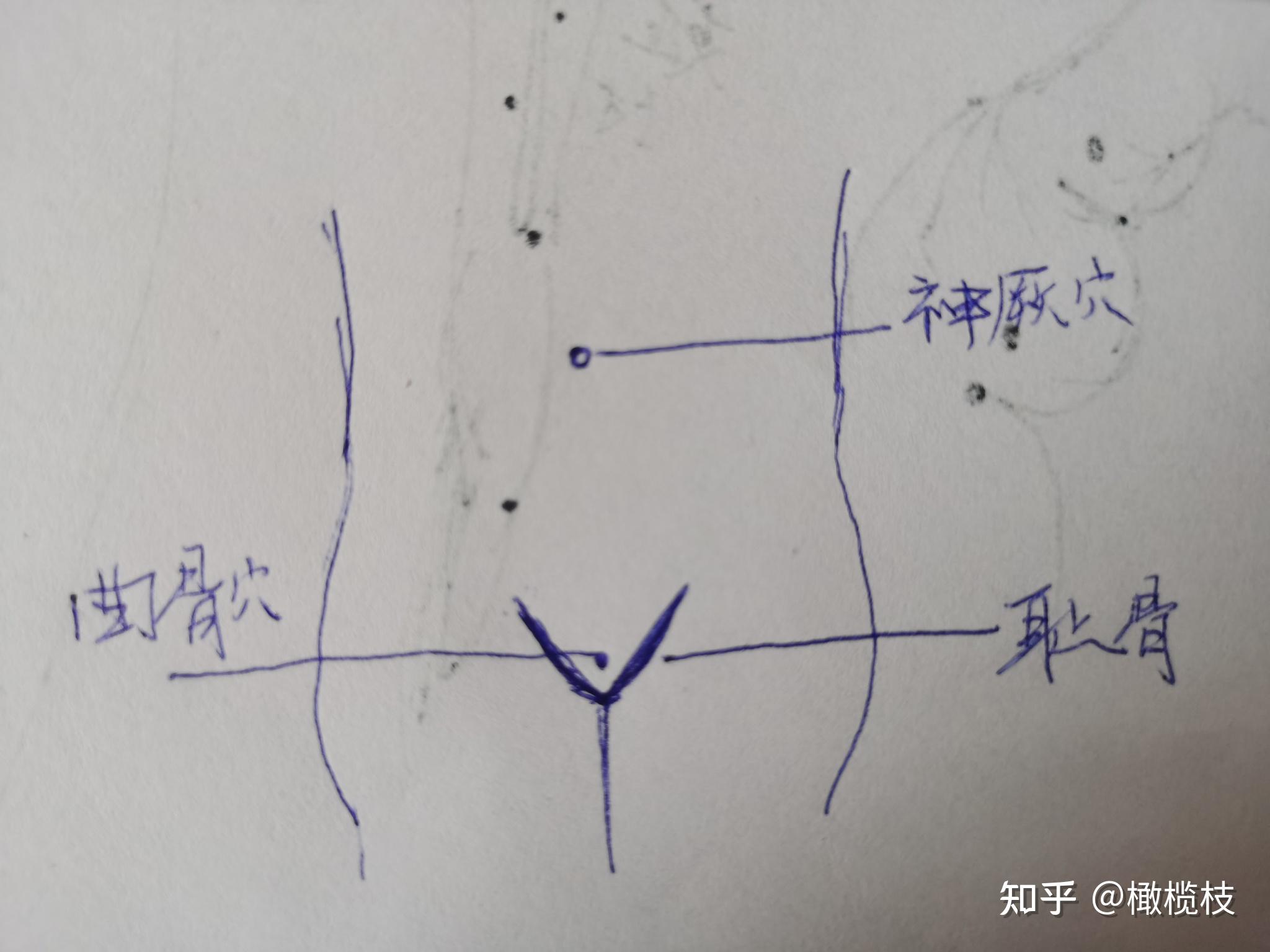 神阙穴和耻骨臆想一条直线,平分四点五段,从曲骨穴开始,第一个点是中