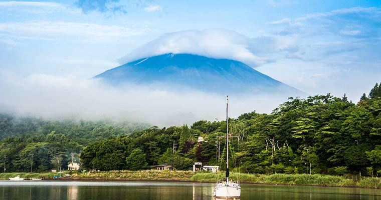 青木原树海是如何成为日本自杀森林的？ - 知乎