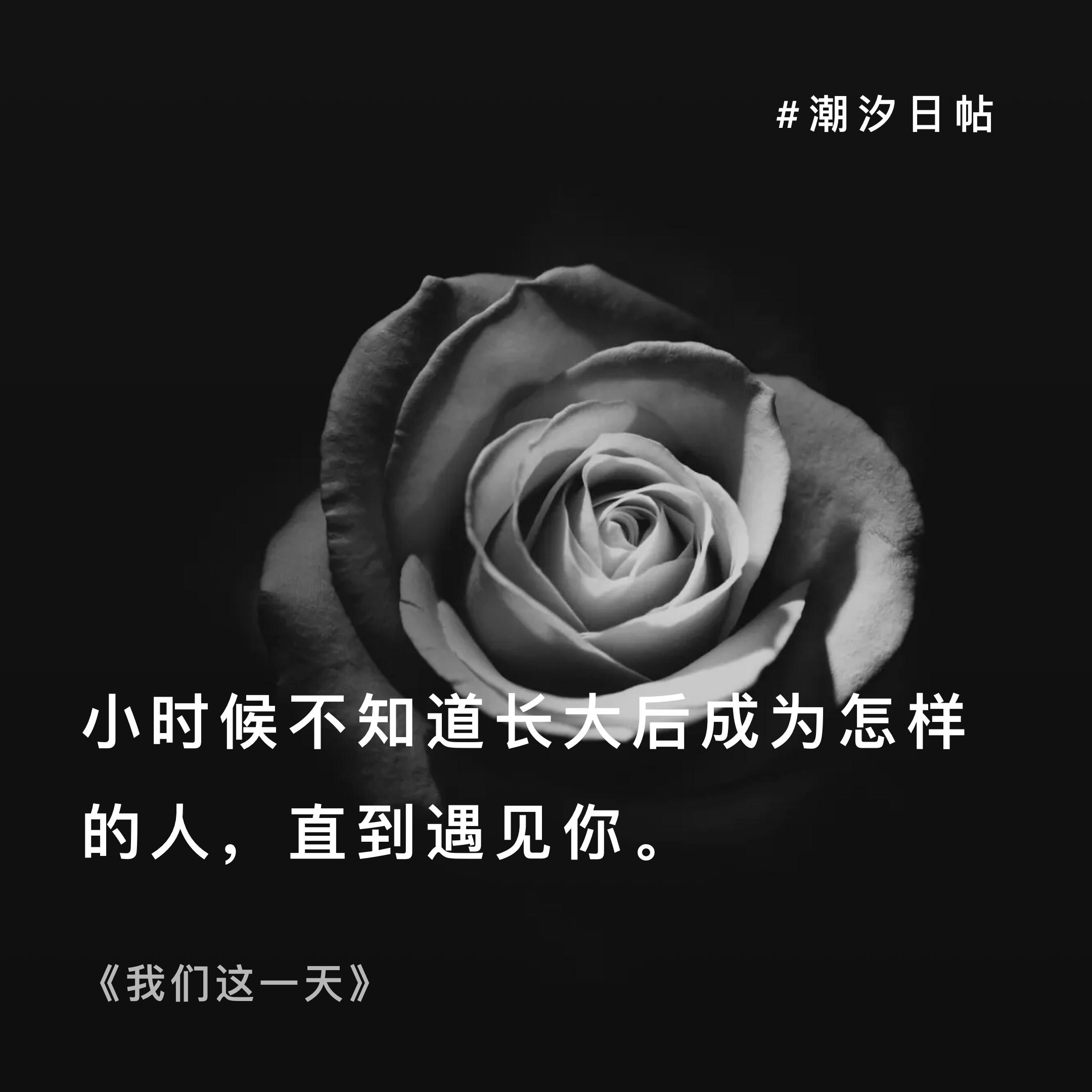 v2-ec02715ca8999b19cdef4f07e6696719_r.jpg