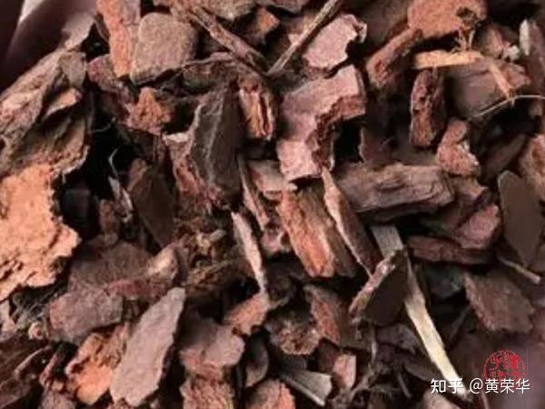 天然染料松树皮在棉布染色上的应用 - 知乎