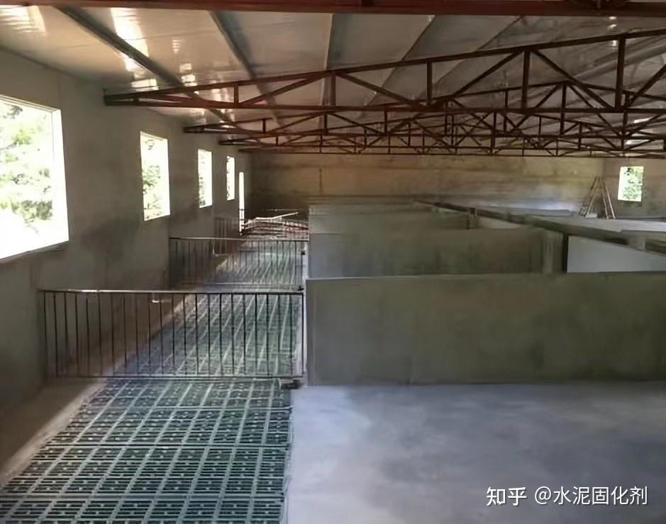 【养猪场猪场建设中的猪栏设计】新式猪栏设计有哪些优点和不足？ - 知乎