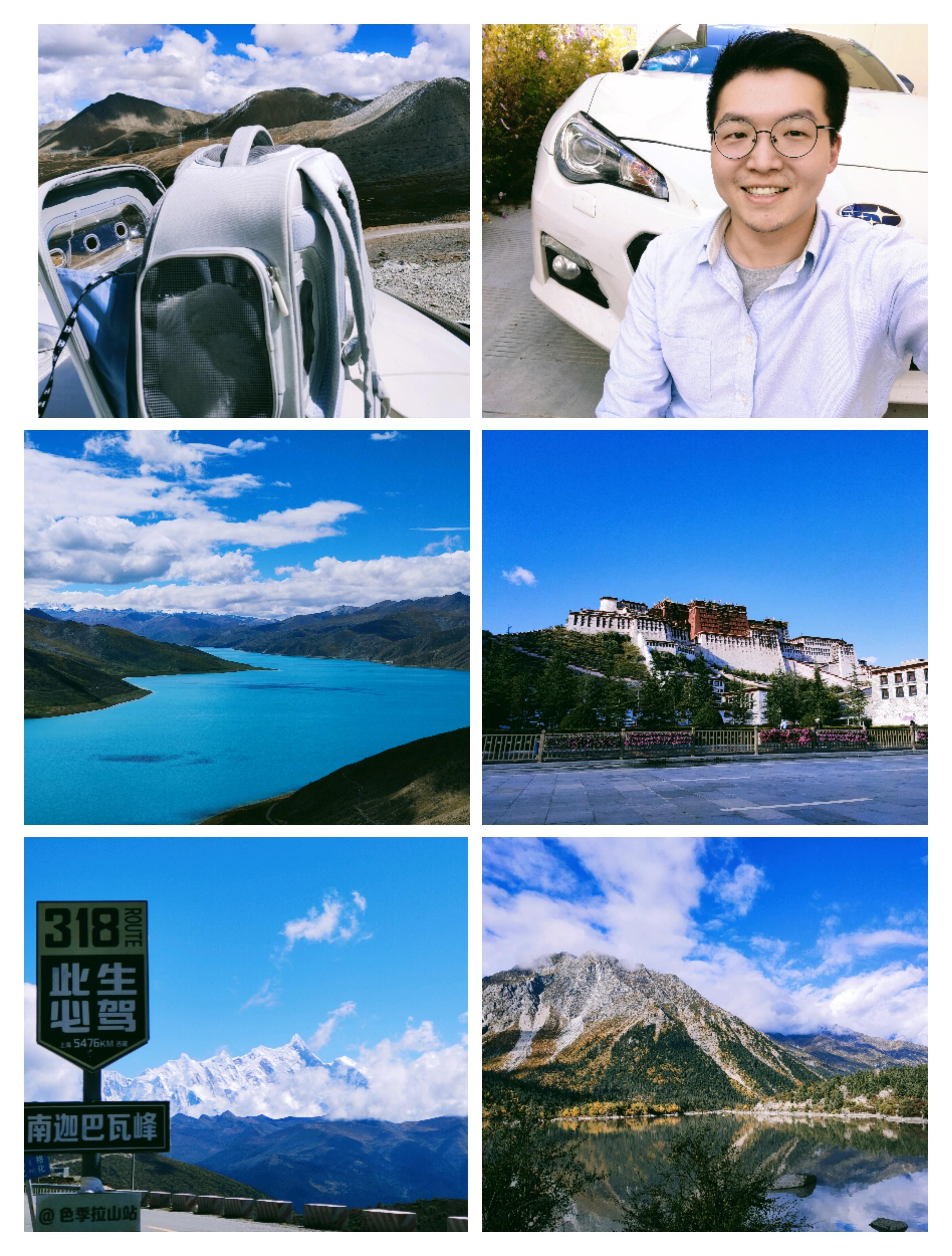 遇见本真的自己,与自由相和而歌