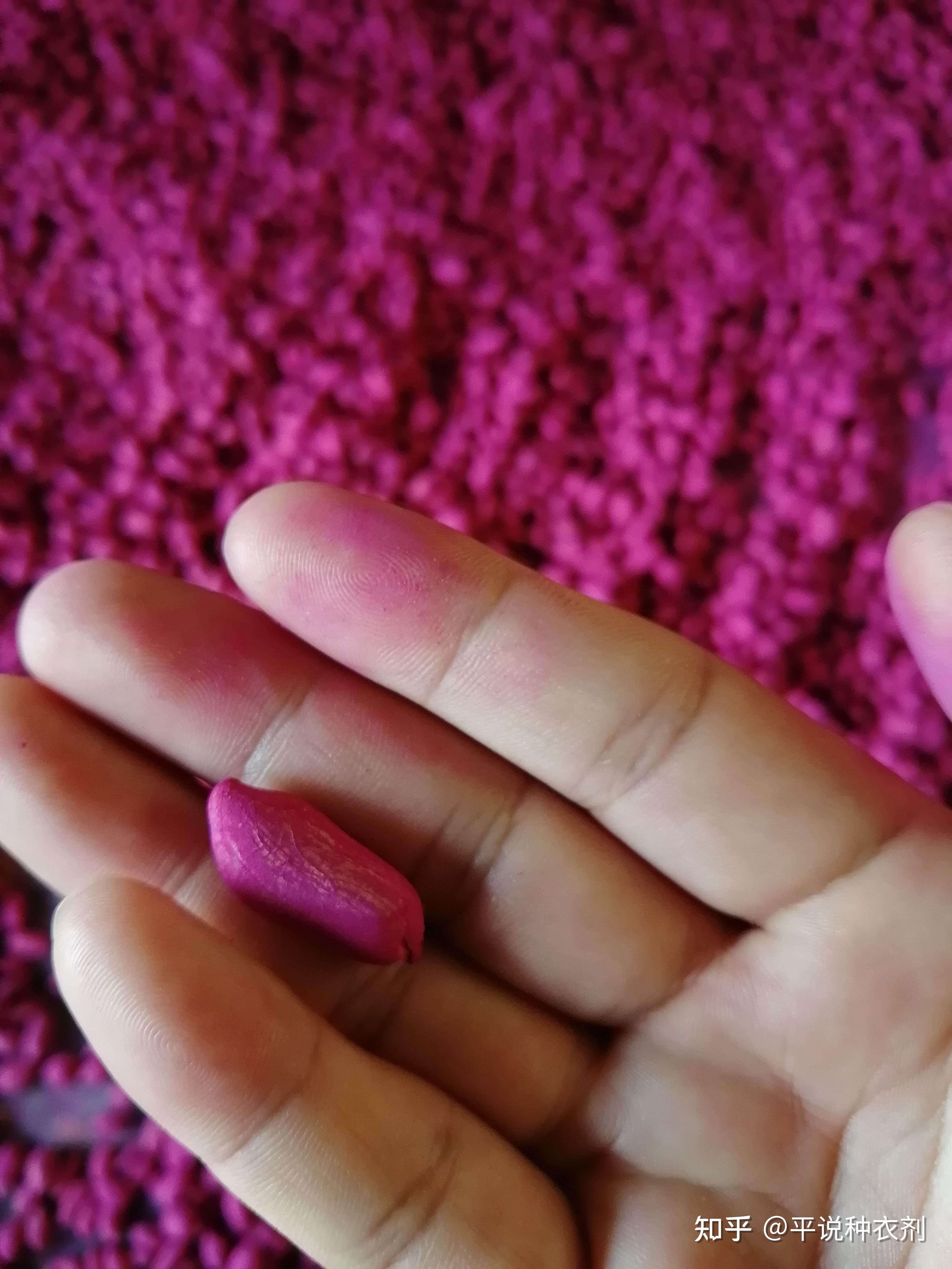 权威解答拌种剂种衣剂包衣剂和种子处理剂之间有什么区别