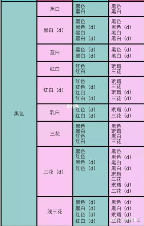 德文卷毛猫繁育颜色搭配繁育配色表