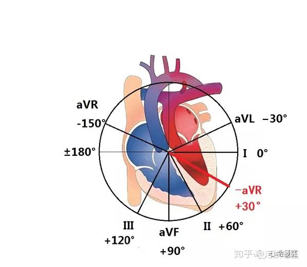 007 心电图怎么做——认识心电图导联系统(下) - 知乎