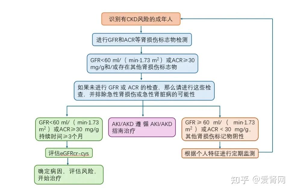 肾病骨代谢标志物五项图片