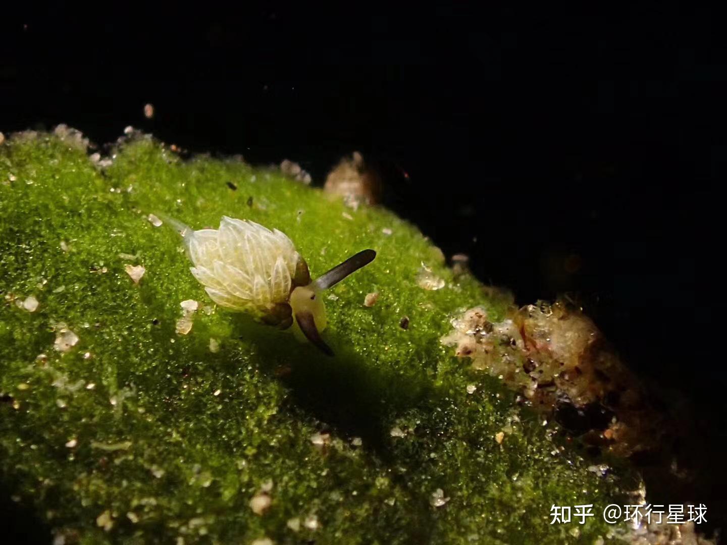 菲律宾，极度舒适的地方 - 知乎