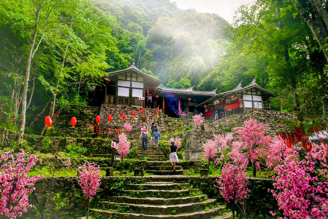 绿色生态之旅!全国最新森林康养基地推荐