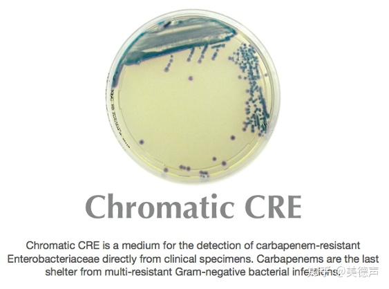 Cre Microscope 超级细菌持续来袭!!!CRE显色培养基助力碳青霉烯耐药革兰阴性杆菌感染和预控! - 知乎