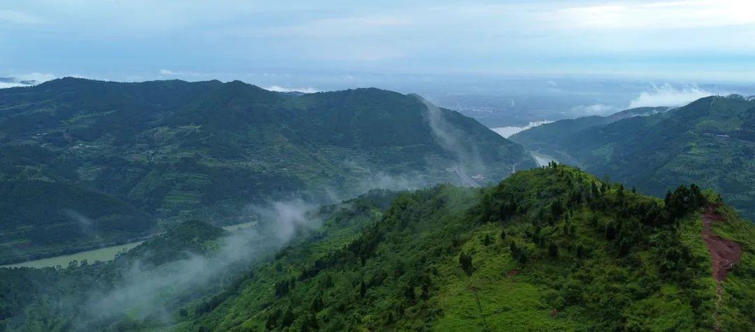 烟雨缭绕如画来夏日的金堂山太美了