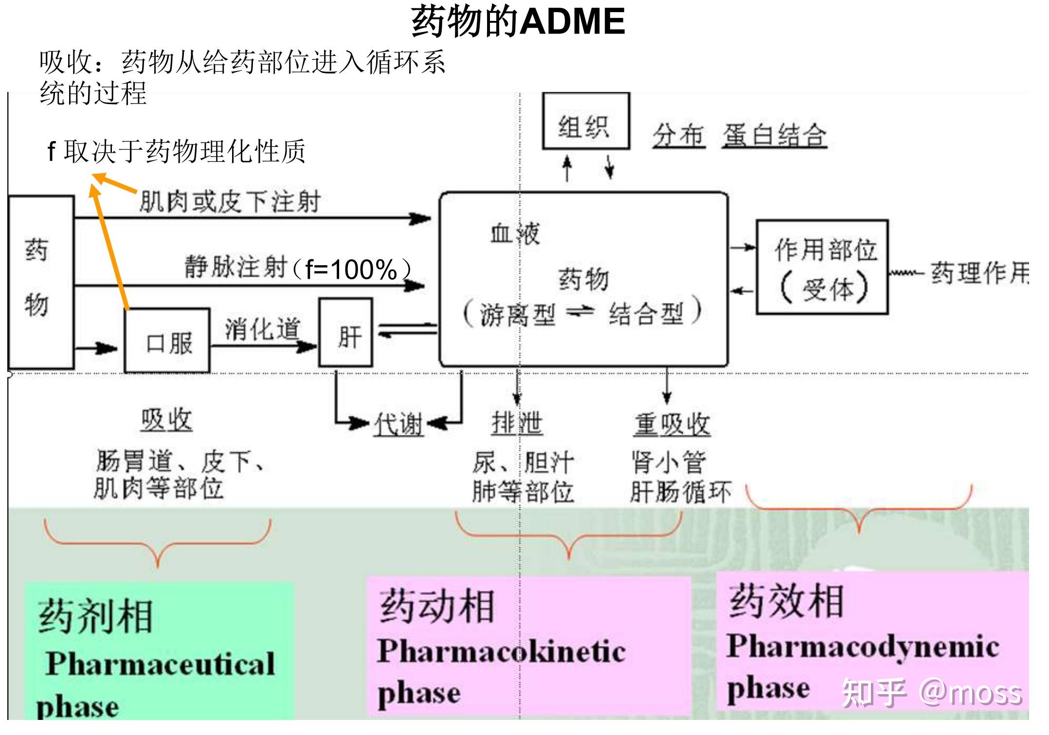 第二章 药代动力学 - 知乎