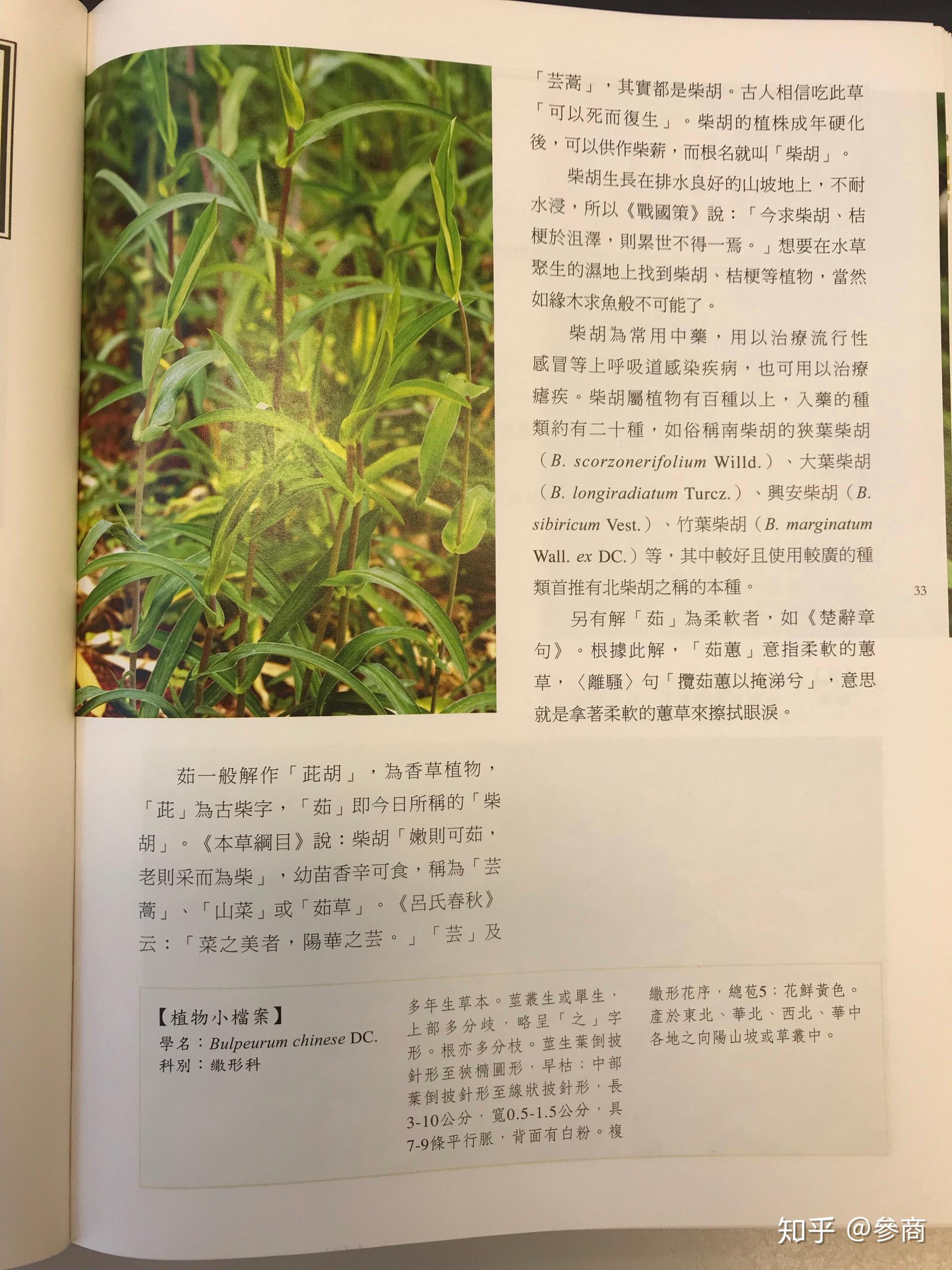 简谱唐诗歌_儿歌简谱(3)