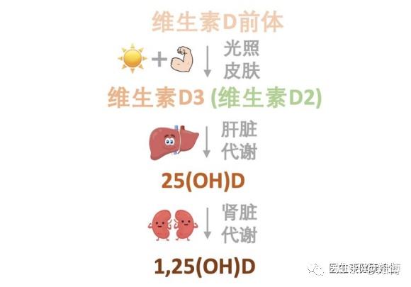 为什么我们普遍缺少维生素d？
