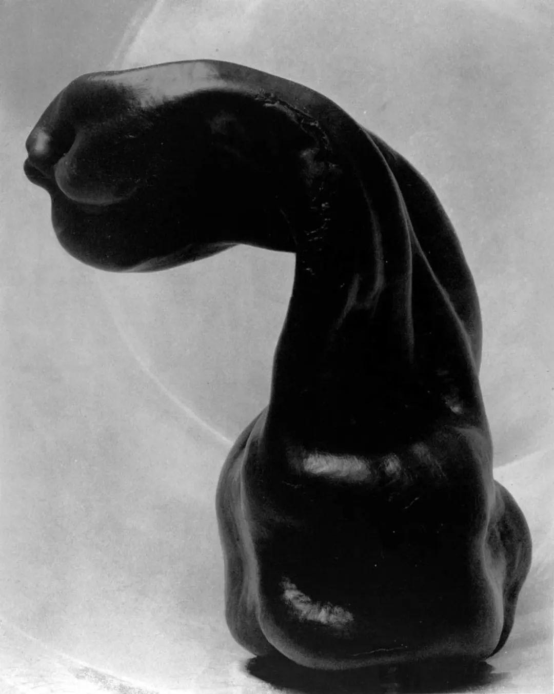 摄影作品欣赏是物还是悟摄影师爱德华韦斯顿