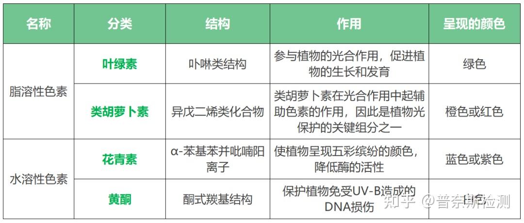 叶绿素,类胡萝卜素,花青素,黄酮,酚类五大类植物色素的检测