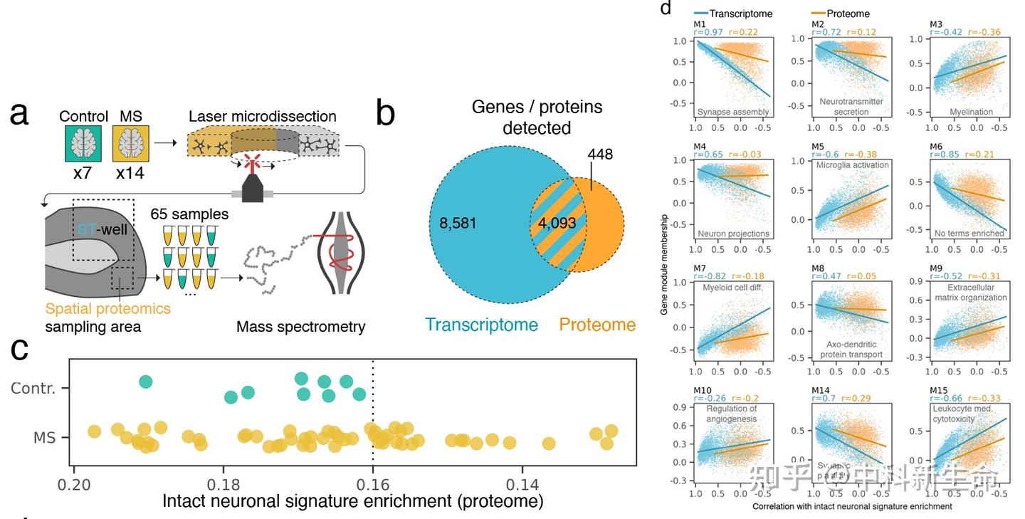 Nature Neuroscience（IF 25.0）| 空间多组学联合发现MS早期神经退行性变通路及治疗靶点 - 知乎