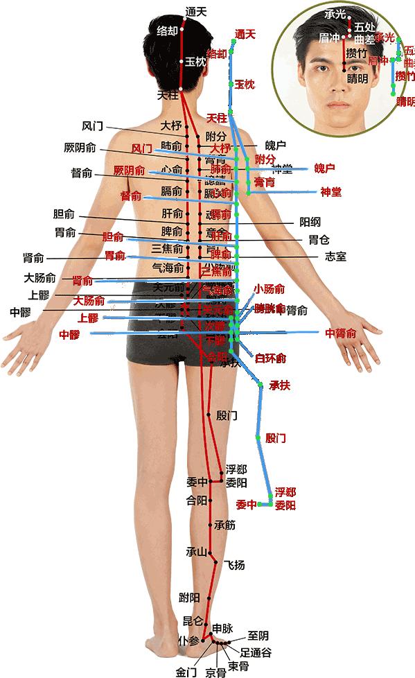 为什么有些人会浑身酸痛?使用远红外线养生舱对排出寒气有哪些好处 - 知乎
