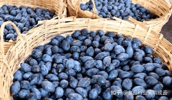 【食材篇】黑橄榄 - 知乎
