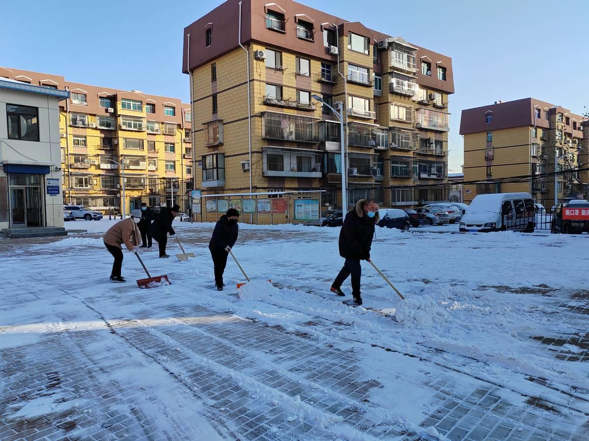 冬季除雪东居里一社区居民齐上阵