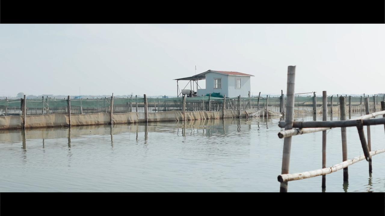 点击可播放视频