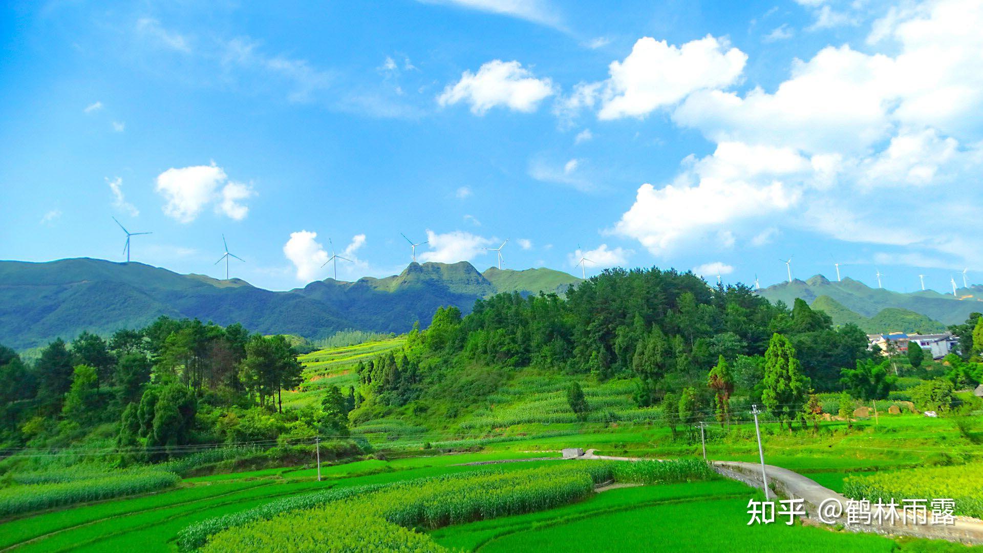 貴州省金沙縣巖孔鎮,綠峰樑子漫山遍野上萬畝的玉簪花開放在即,這