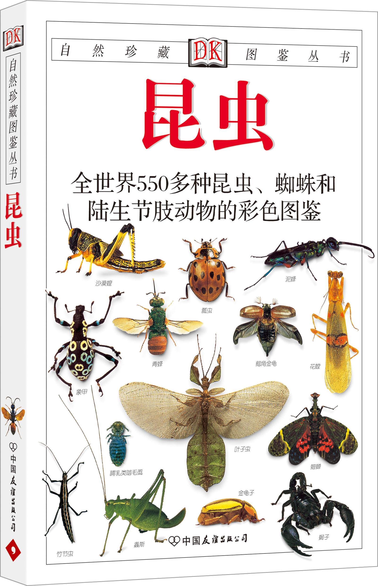 昆虫学图片