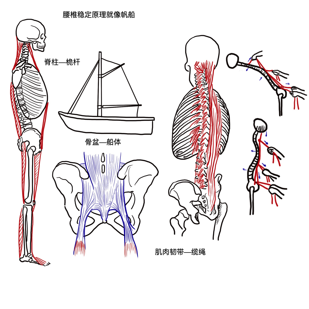 腰椎也会得关节炎吗