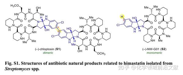 Science：Himastatin及其衍生物的仿生二聚全合成和抗菌活性研究 - 知乎