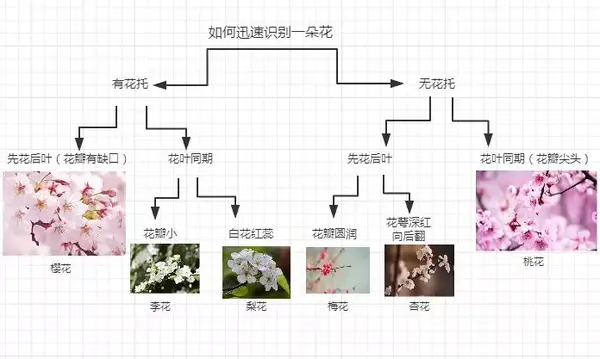 赏花季 还把梅花当桃花拍 为何古人从不画错春天的花 知乎