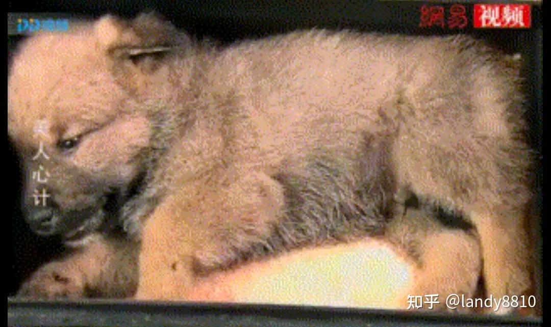 林心如,杨幂,王丽坤,何晟铭,陈键锋,罗晋等主演的《美人心计》剧照